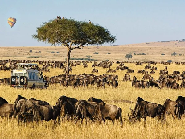 On the African savannah
