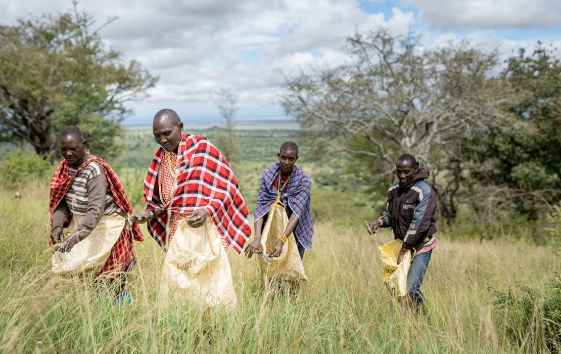 Students connect live with a Maasai community conservancy